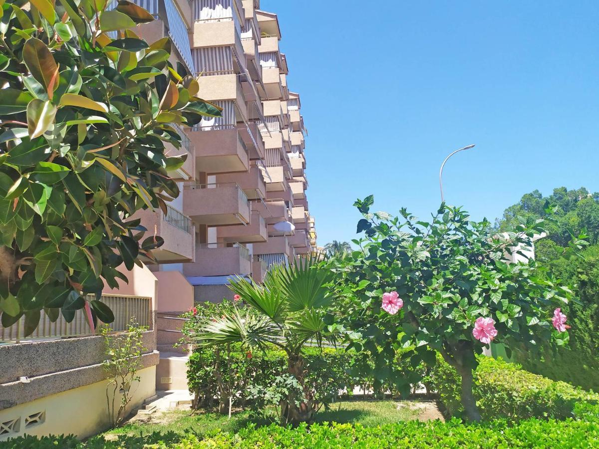 Apartamentos Gandia Beach 3000 المظهر الخارجي الصورة